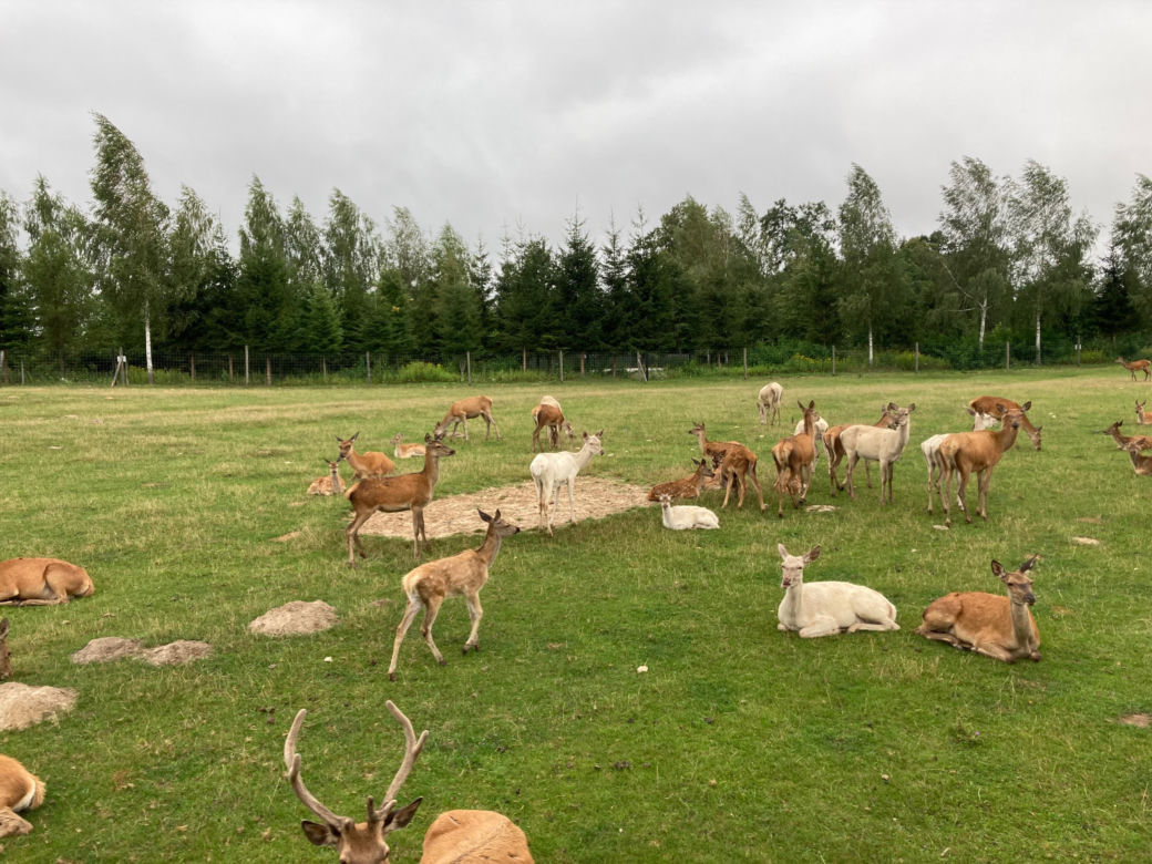 Jura Park Bałtów