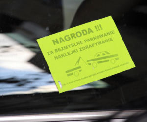 Kinga Rusin ukarana za bezmyślne parkowanie