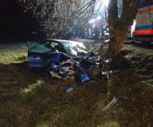 Audi wypadło z drogi i uderzyło w drzewo. Kierowca uwięziony w zmasakrowanym aucie!