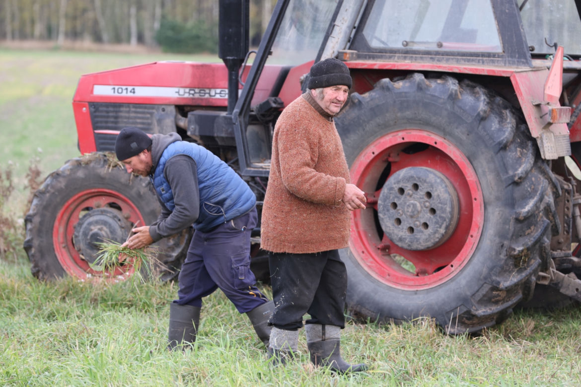 Rolnicy. Podlasie. Gienek, Andrzej i Sławek w Deniskach. Odbierają dynie