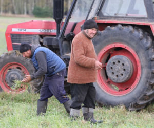 Rolnicy. Podlasie. Gienek, Andrzej i Sławek w Deniskach. Odbierają dynie