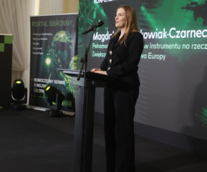 Konferencja SAFE i co dalej…?