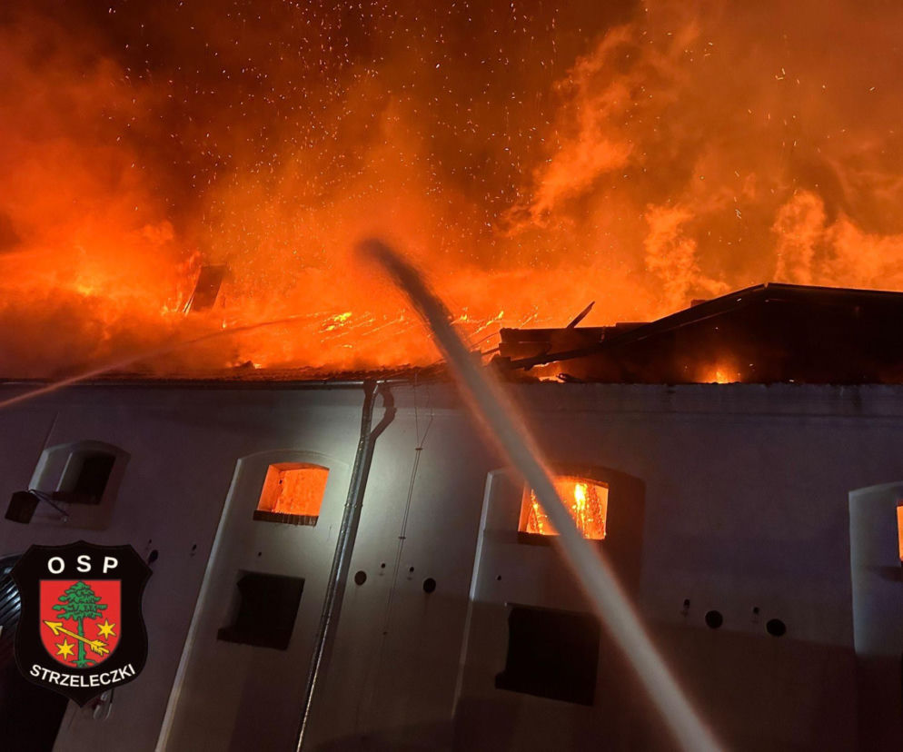 Pożar stadniny koło pałacu w Mosznej. Śledczy znają prawdopodobną przyczynę