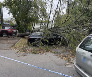 Potworne skutki wichury w Warszawie