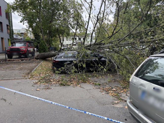 Potworne skutki wichury w Warszawie