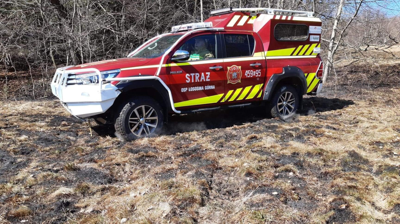 77-latka chciała uporządkować działkę, a zginęła w potwornych męczarniach. Tragedia pod Limanową