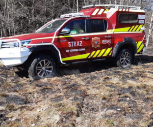 77-latka chciała uporządkować działkę, a zginęła w potwornych męczarniach. Tragedia pod Limanową