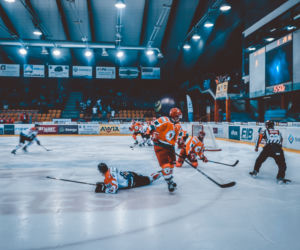 KH Energa Toruń - Zagłębie Sosnowiec 5:4 - zdjęcia z meczu