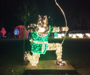 Park Iluminacji w Poznaniu