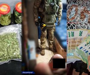  Siedlecki gang rozbity, aż 11 osób zostało zatrzymanych! Zarabiali kokosy na narkotykach i prostytucji
