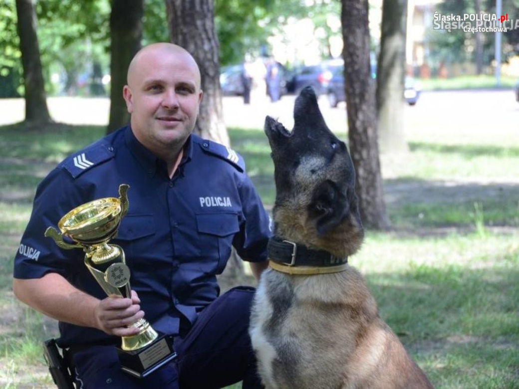 Jarika, suczka owczarka belgijskiego, po latach pracy w policji przeszła na emeryturę