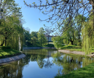 Wiosna w Zamościu