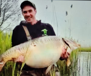 Karp GIGANT 31 kg