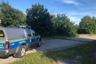 Samozwańczy kierowca podbijał elbląskie drogi! Nie zauważył, że jedzie za nim straż miejska!