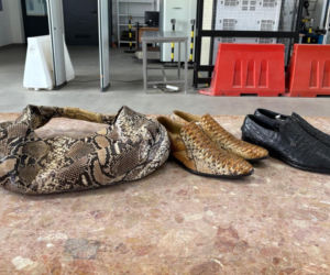 Torebka z pytona i buty z krokodyla. Udaremniony przemyt na granicy