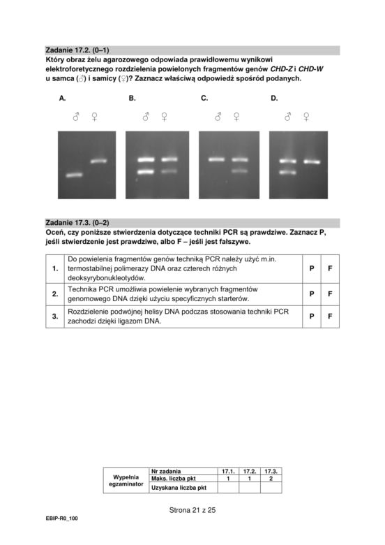 Matura 2022: biologia rozszerzona. Arkusze CKE, zadania, pytania. Poziom rozszerzony