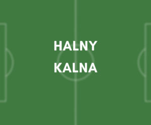 Halny