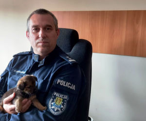 Policjanci z Kutna przygarnęli szczeniaki