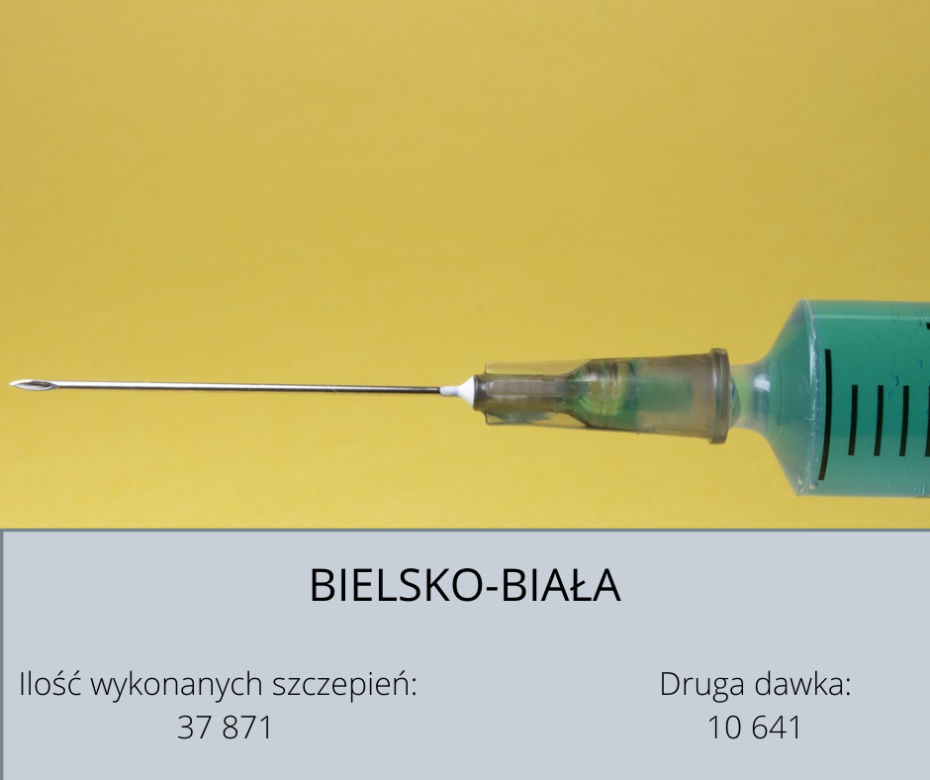 Koronawirus Śląskie. W tych powiatach zaszczepiono najwięcej osób [GALERIA] 