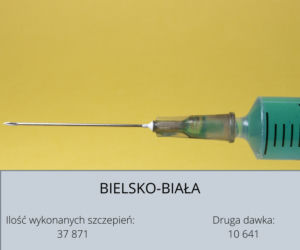 Koronawirus Śląskie. W tych powiatach zaszczepiono najwięcej osób [GALERIA] 