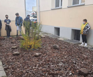 Iławska SP4 doceniona za ogródek i otoczenie szkoły