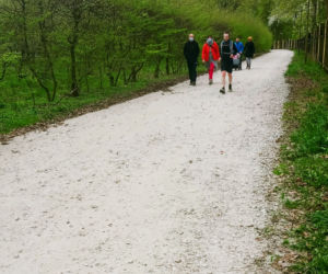 Aleja Fałata otwarta dla spacerowiczów