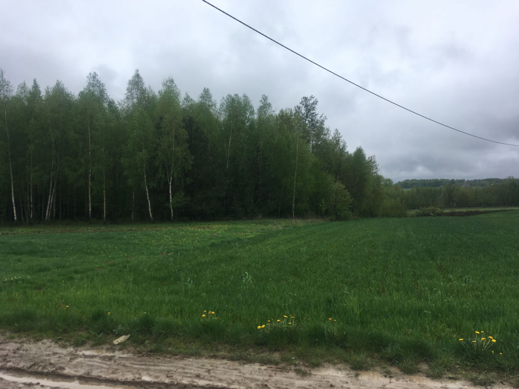 Zabiła sąsiada, bo przetopił jej psa na smalec?