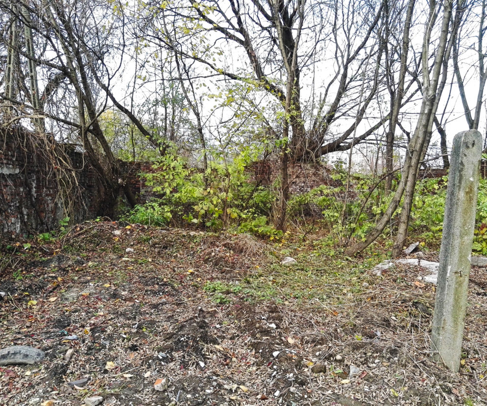 Park Stacja Wisła historia 1