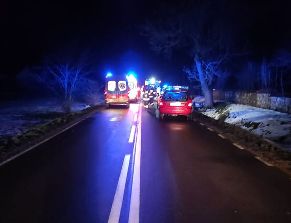 Wracali z balangi i roztrzaskali się na drzewie