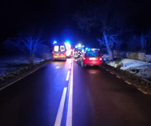 Wracali z balangi i roztrzaskali się na drzewie