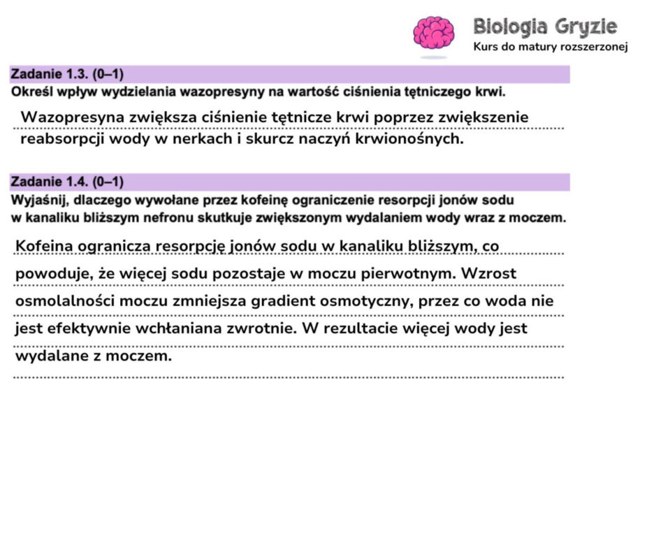 Odpowiedzi próbnej matury z biologii rozszerzonej 2024