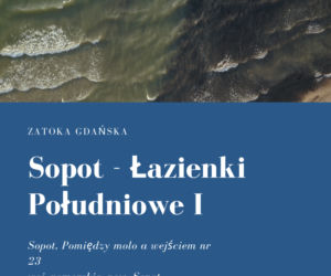 Sinice w Bałtyku 2021. Te kąpieliska są zamknięte. Woda ma kolor zielony!