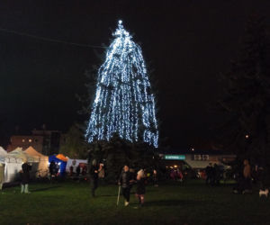 Siedleckie iluminacje 2025