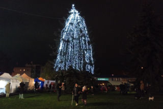 Siedleckie iluminacje 2025