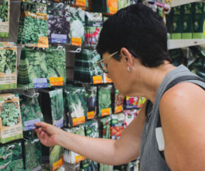 Na co zwrócić uwagę kupując nasiona kwiatów i warzyw?