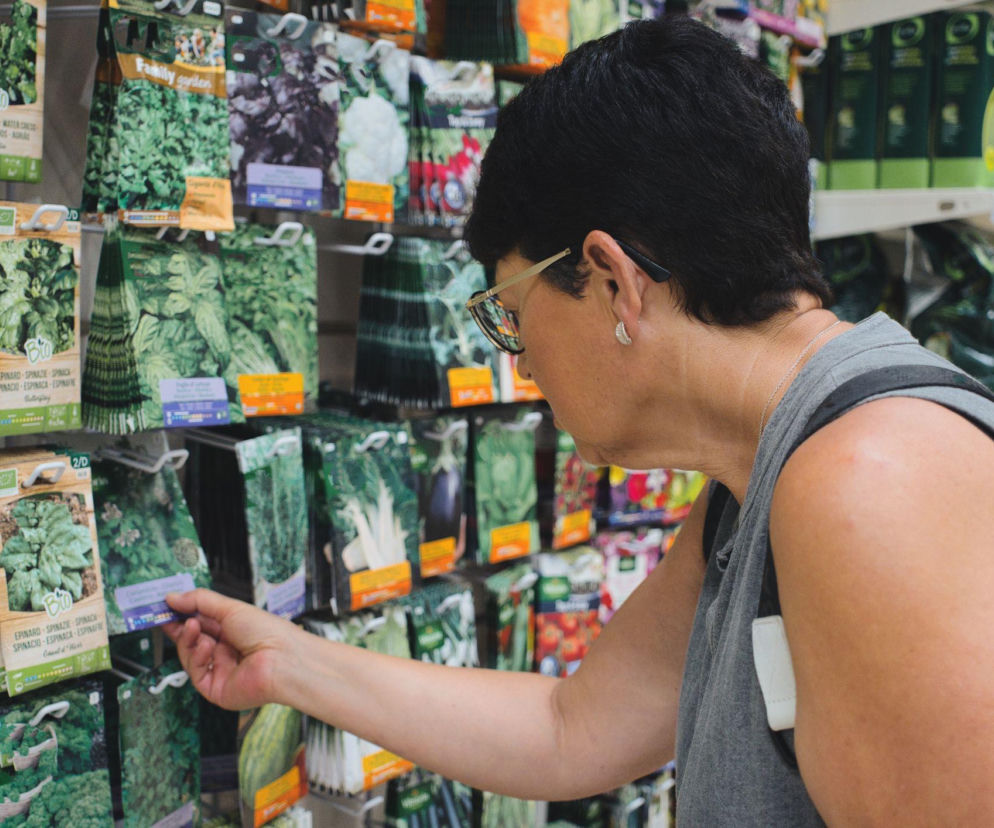 Zakup nasion roślin