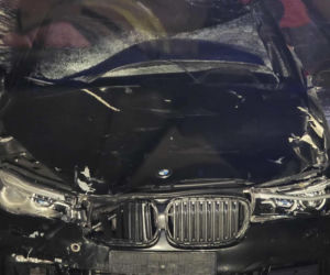 Powiat siedlecki: zderzenie auta osobowego z łosiem w Kolonii Mordy