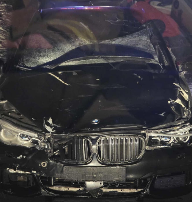 Powiat siedlecki: zderzenie auta osobowego z łosiem w Kolonii Mordy