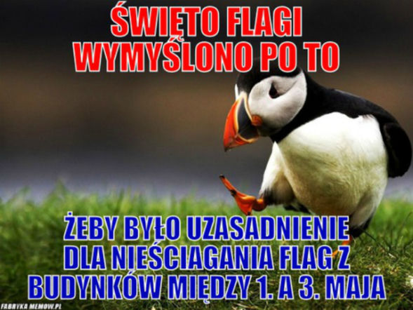 Dzień Flagi - mem