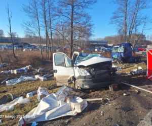 Śmiertelny wypadek na DK94 w Ładnej [ZDJĘCIA]