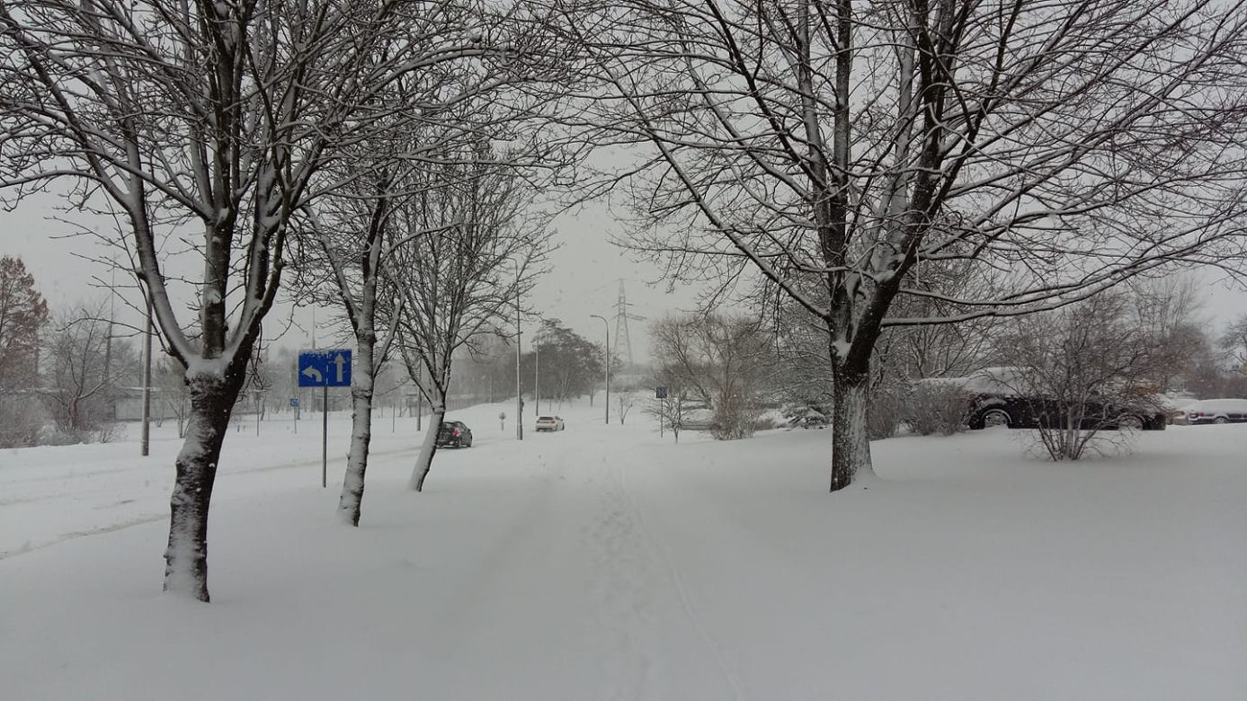 Białystok. Atak zimy 15.01.2019