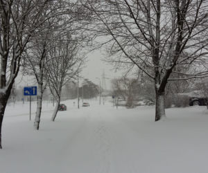Białystok. Atak zimy 15.01.2019