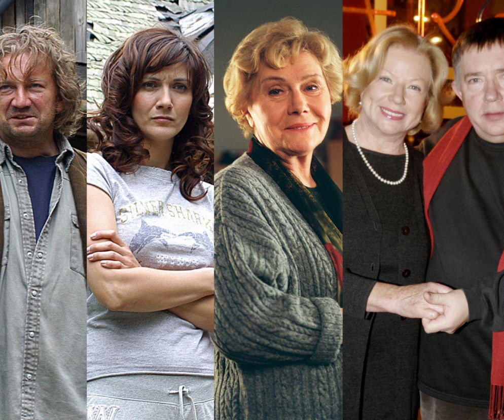 Dopasuj bohatera do serialu - Ranczo, M jak miłość, Przyjaciółki, Na Wspólnej