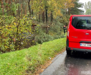 Groźny wypadek w Więcborku! Samochód wypadł z drogi i zatrzymał się na drzewie!
