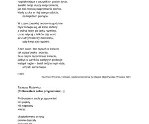 Matura 2022: polski rozszerzony. Arkusze CKE, tematy wypracowania. Poziom rozszerzony	