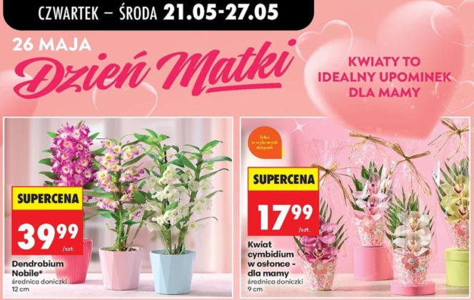 kwiaty na Dzień Matki w Biedronce
