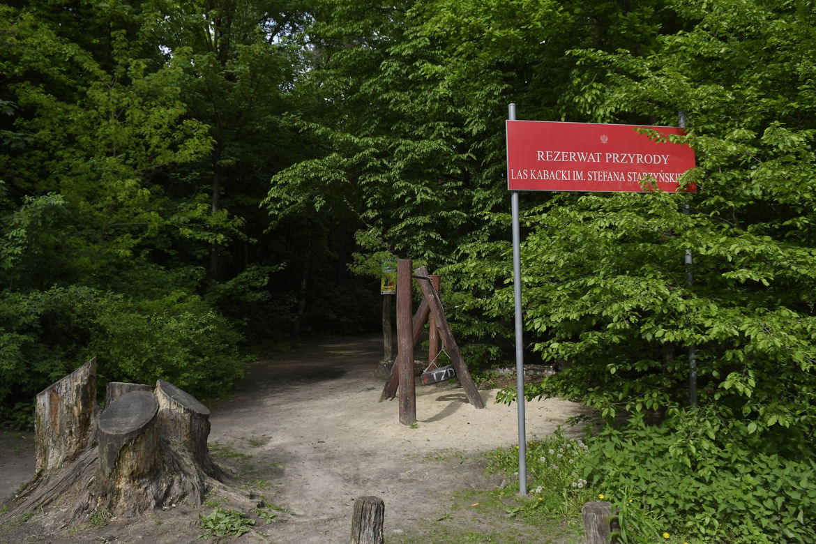Z głownej alejki musiała iść jeszcze 1,5 km wgłąb lasu