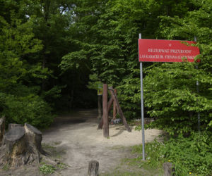 Śmierć Karoliny z Gocławia. Fascynowała ją „Sala samobójców”. 23-latka zaplanowała jak umrze