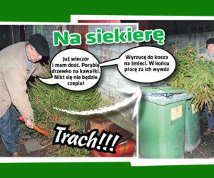 ak pozbyć  się choinki