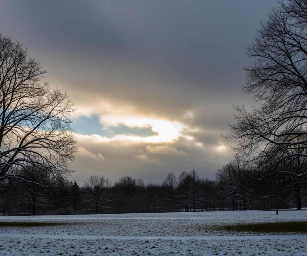 Dwa duże drzewa o ciemnych, rozłożystych konarach bez liści dominują po lewej i prawej stronie kadru, otaczając widok na rozległą, zaśnieżoną polanę. Śnieg pokrywa trawę na pierwszym planie i ciągnie się w głąb, gdzie widoczny jest las iglastych i liściastych drzew. Na horyzoncie niebo jest pochmurne, z ciemnoszarymi obłokami przechodzącymi w jaśniejsze, złocisto-białe pasma, a pośrodku horyzontu widać fragment błękitnego nieba.